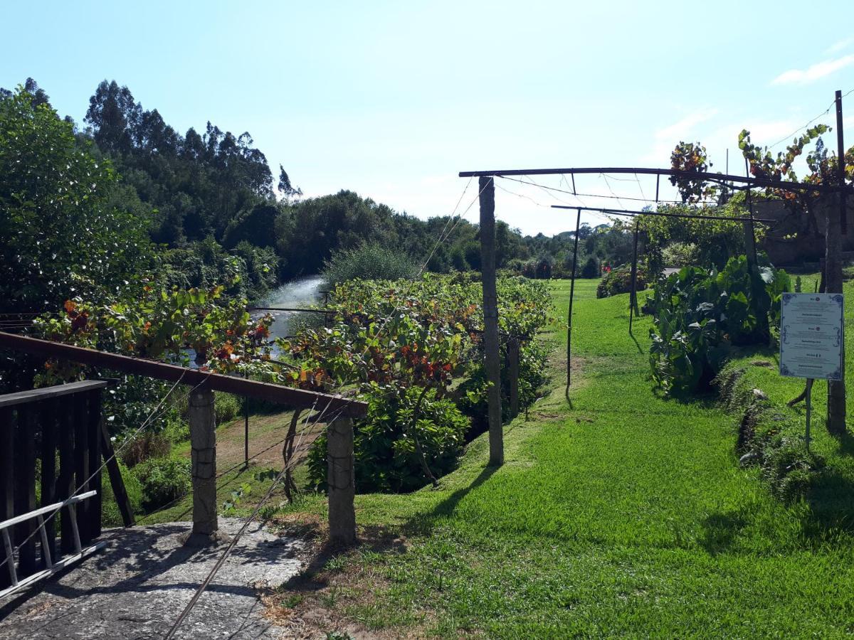 Dream Corner By Waterfalls, 20 Min To Oporto, By Porto With Love Lda Parada  Exteriér fotografie